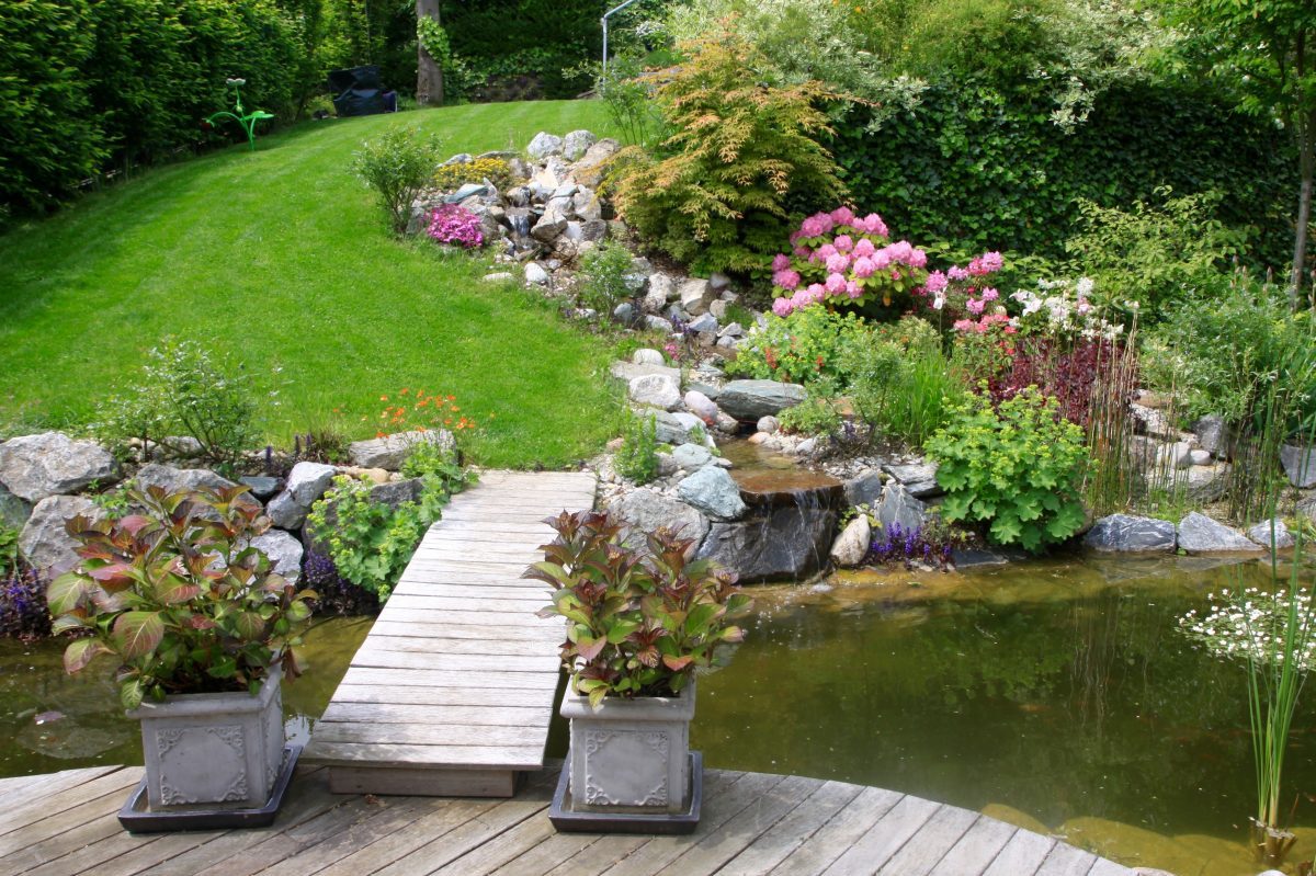 Gartengestaltung Libelle - Isabella Pfenning - Gartenplanung und Gartengestaltung