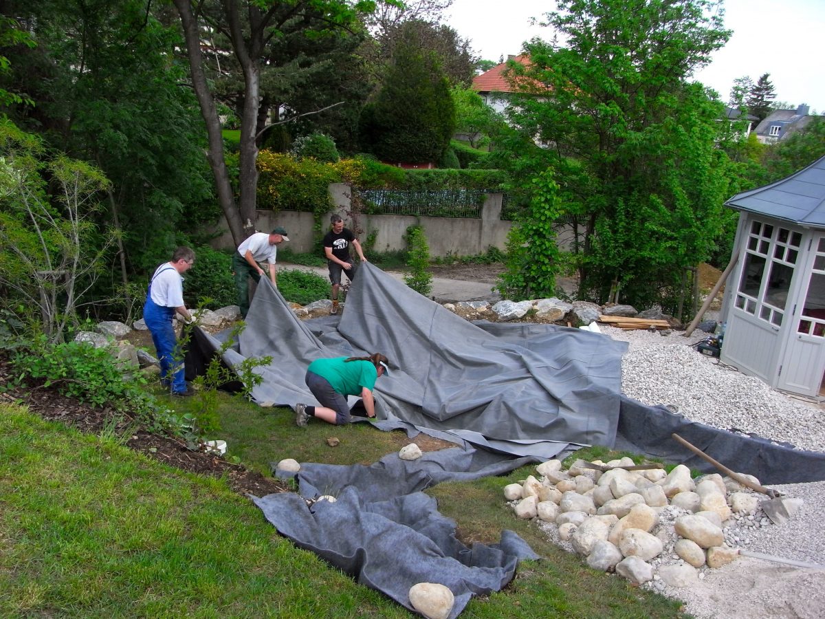 Gartengestaltung Libelle - Isabella Pfenning - Gartengestaltungs-Projekt Schafberg - Gestaltungsprozess