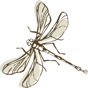 Gartengestaltung Libelle - Isabella Pfenning - Logo- Libelle
