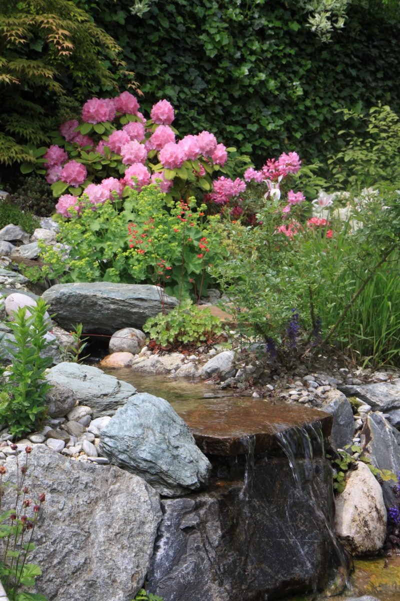 Gartengestaltung Libelle - Isabella Pfenning - Wasserfall im Garten