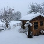 Gartengestaltung Libelle - Isabella Pfenning - Gartentipps Winter