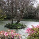 Gartengestaltung Libelle Burncoose Gardens