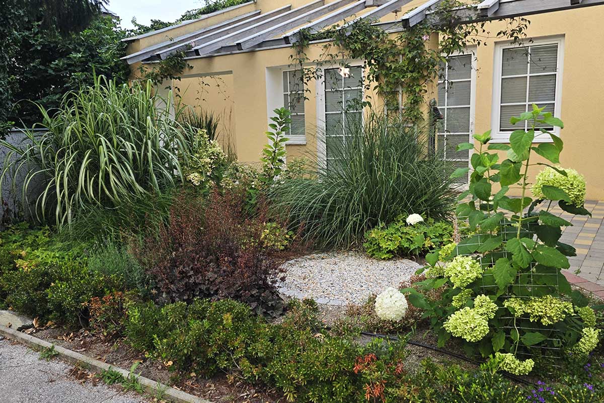 vorgartenbeet-gartengestaltung-libelle-10