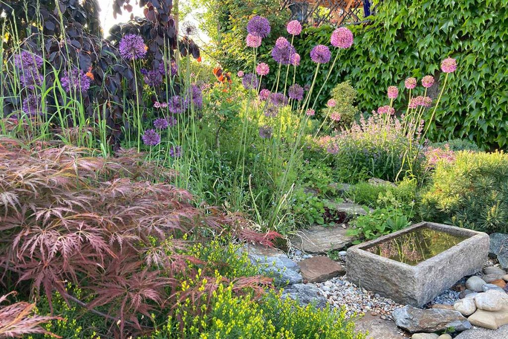 Steingarten mit Wasserelement, üppig mit bunten Pflanzen und Sträuchern bepflanzt