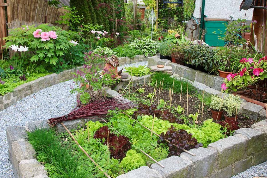 Hochbeet mit Granitwürfel gemauert. Pflücksalat mit Kräutern