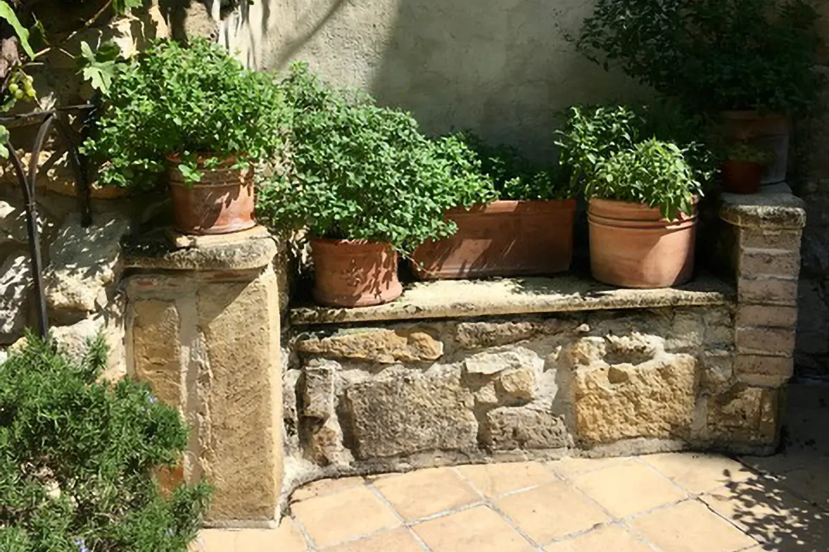 Große bepflanzte Terracotta-Töpfe stehen auf einer Steinbank in der Sonne.