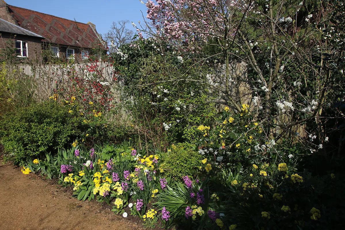 Cottage Garten im englischen Still, mit üppig bepflanzten Beeten entlang eines Zaunes aus Holzlatten