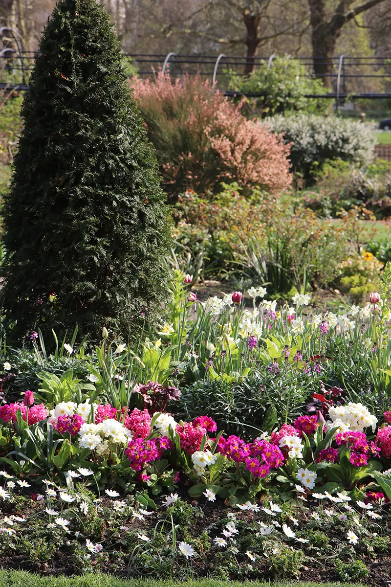 Üppig bepflanzter Garten im englischen Cottage Stil mit Gebüsch und Pflanzen
