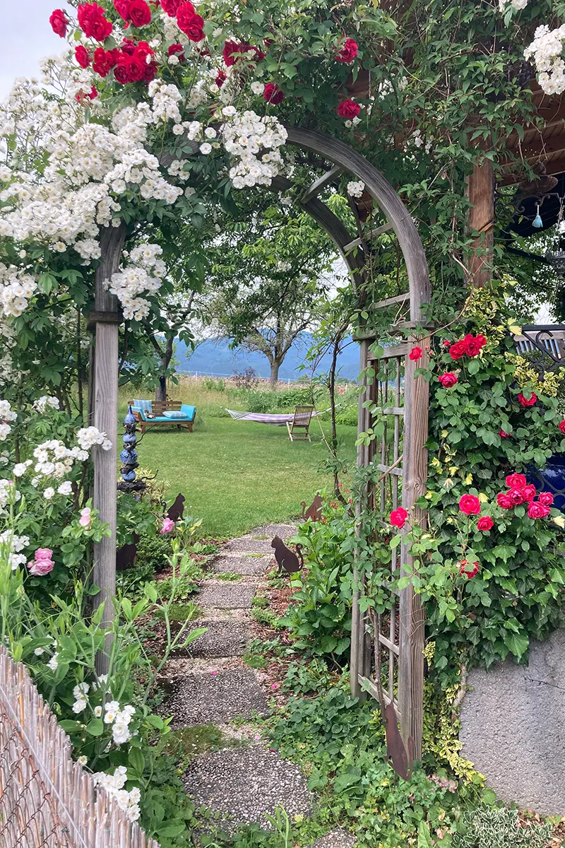 Blick durch einen üppig bepflanzten Rosenbogen auf einen hübschen Garten dahinter. Man sieht eine gemütliche Sitzecke im Garten