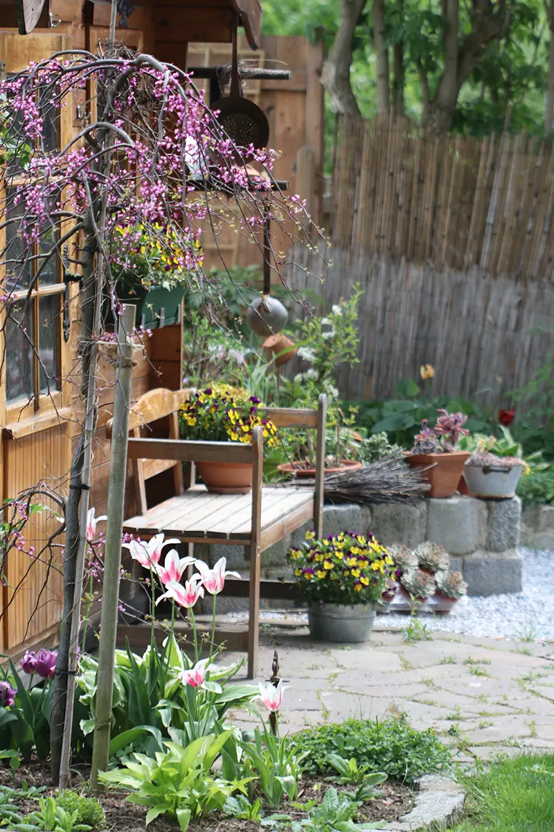 Ausschnitt aus einer Gartenecke mit einem rustikalem Holzsessel auf dem zur Deko ein Blumentopf mit Stiefmütterchen steht.