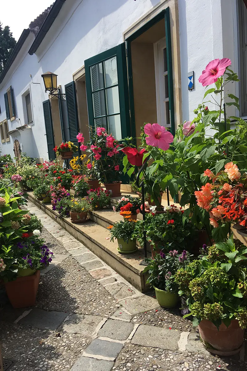 Hauseingang der mit großen Blumentöpfen in dem bunte Blumen gepflanzt sind dekoriert ist.
