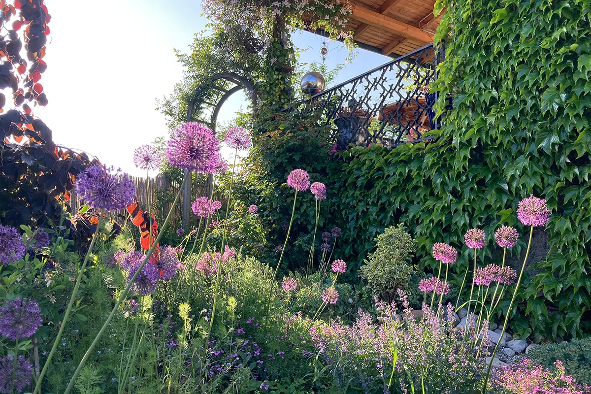 Üppig blühender Garten im englischen Landhausstil, mit eine Rosenbogen im Hintergrund.
