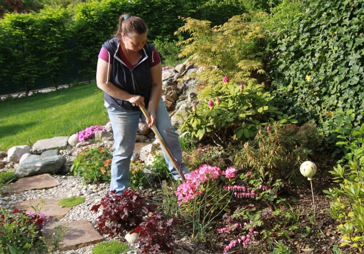 Gartengestaltung Libelle - Isabella Pfenning - Gartengestaltungs-Projekt Schafberg - Gestaltungsprozess