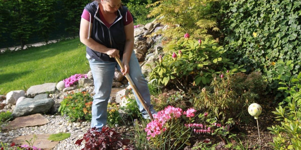 Gartengestaltung Libelle - Isabella Pfenning - Gartengestaltungs-Projekt Schafberg - Gestaltungsprozess