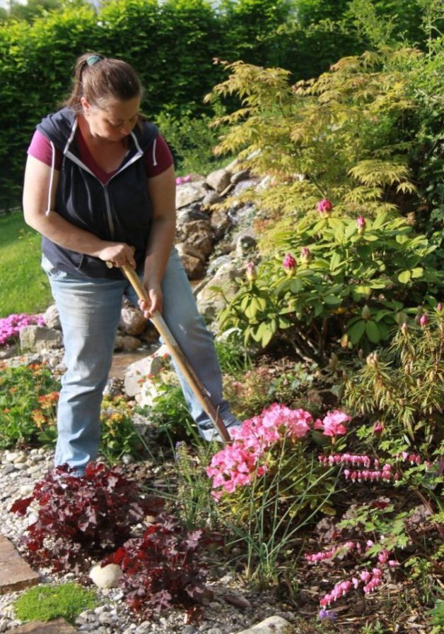 Gartengestaltung Libelle - Isabella Pfenning - Gartengestaltungs-Projekt Schafberg - Gestaltungsprozess