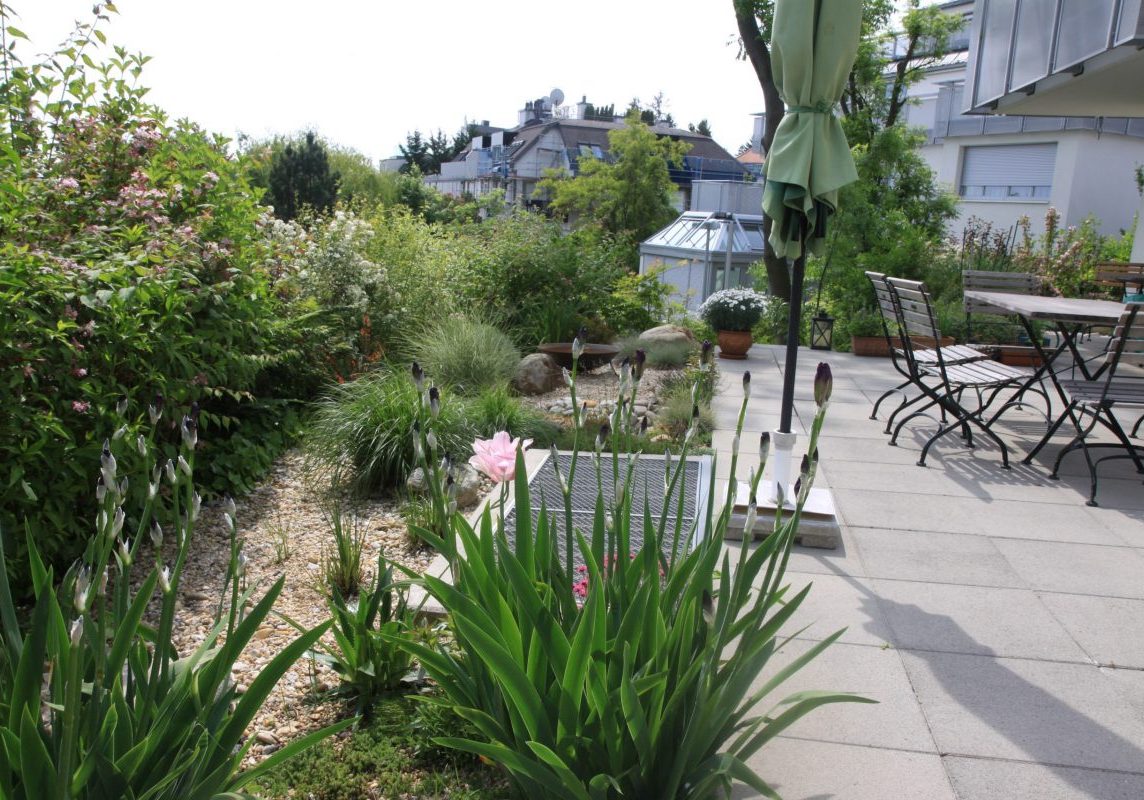 Gartengestaltung Libelle - Isabella Pfenning - Gartenprojekt Wien