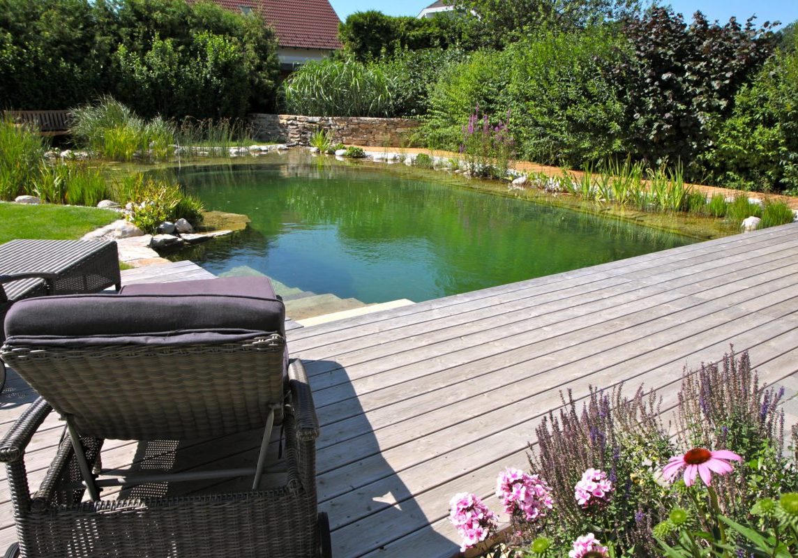 Gartengestaltung Libelle - Isabella Pfenning - Gartengestaltung mit Schwimmteich und Liegeplatz