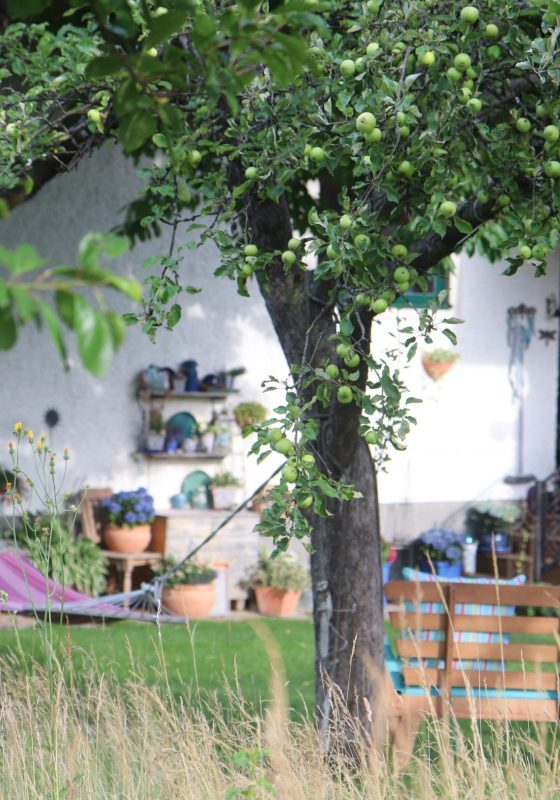 Gartengestaltung Libelle - Isabella Pfenning - Gartentipps Sommer - Garten genießen