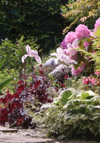 Gartengestaltung Libelle - Isabella Pfenning - Gartengestaltung Niederösterreich