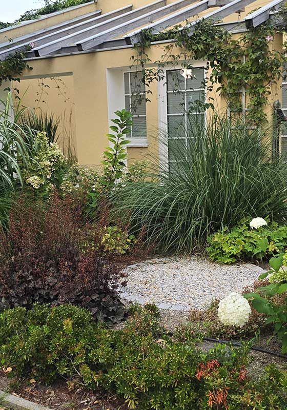 vorgartenbeet-gartengestaltung-libelle-10