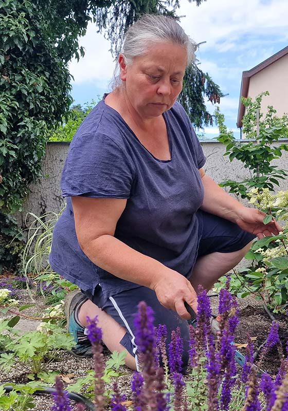 vorgartenbeet-gartengestaltung-libelle-8