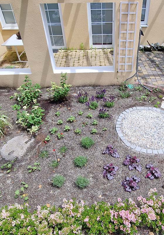 vorgartenbeet-gartengestaltung-libelle-9